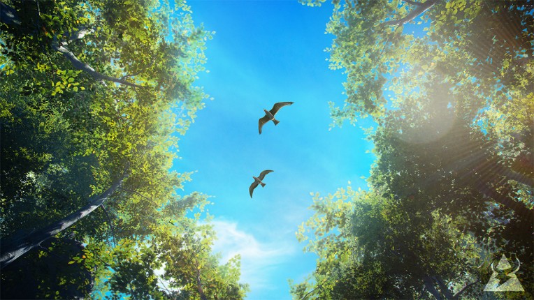 Birding Simulator: Bird Photographer screenshot