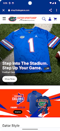 Florida Gators Image