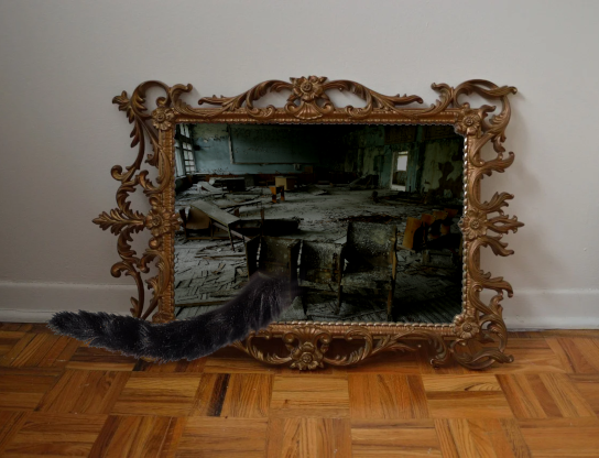 Games like A Cat in Ghost Town