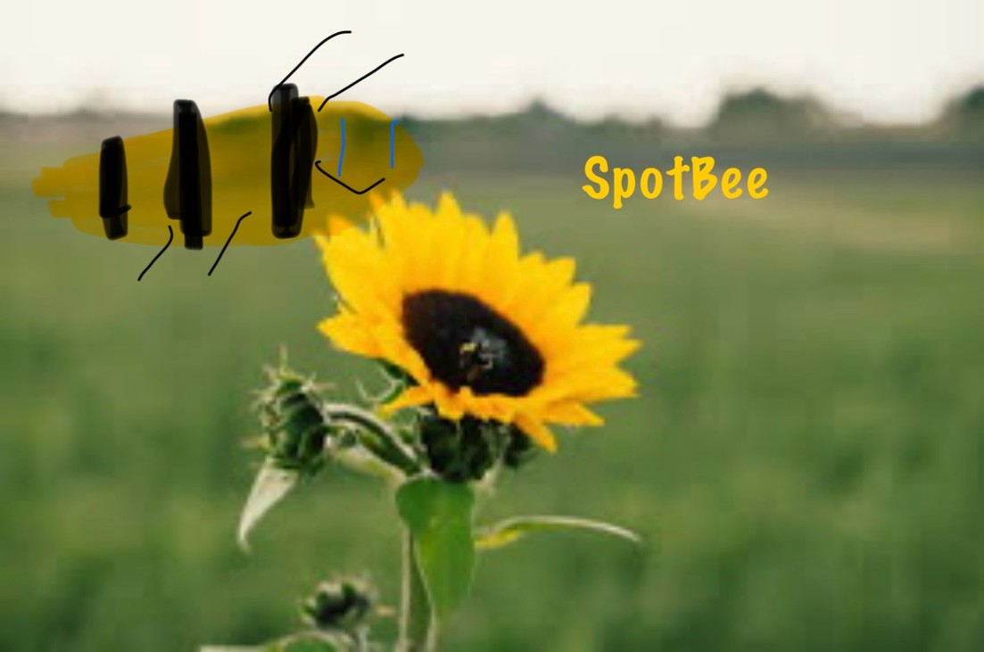 Games like SpotBee