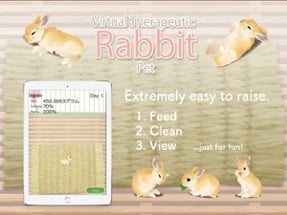 Virtual Therapeutic Rabbit Pet Image