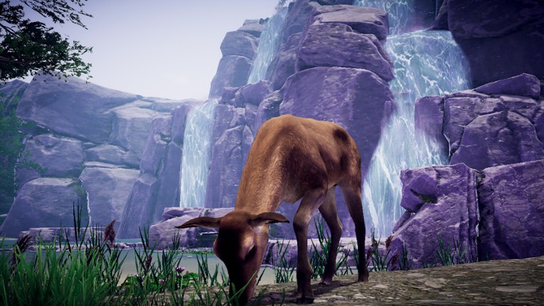 Wolf Survival screenshot