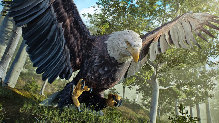 Birding Simulator: Bird Photographer screenshot