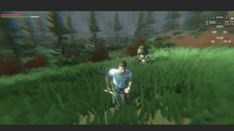 Lifelike Minecraft Real Image