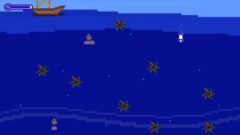 Rock Shark Diamonds Image