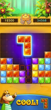 Block Puzzle Jewel . screenshot