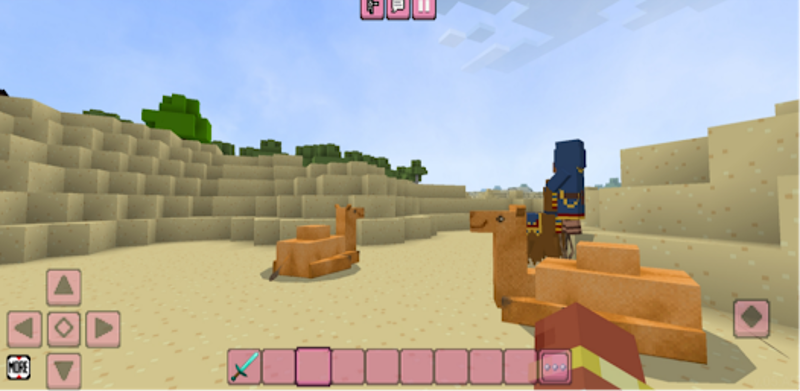 Bloxx Craft Girl screenshot