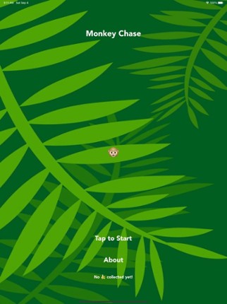 Monkey Chase: jungle fun! screenshot