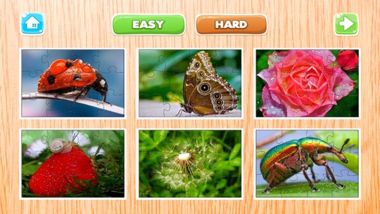 Nature Flowers and Bug Jigsaw Puzzle for Adults screenshot