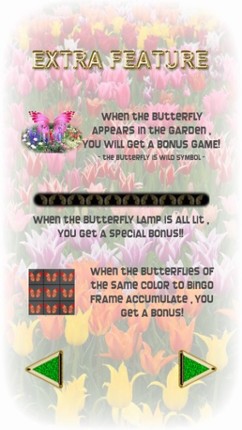 SUPER 8LINES BUTTERFLY Image