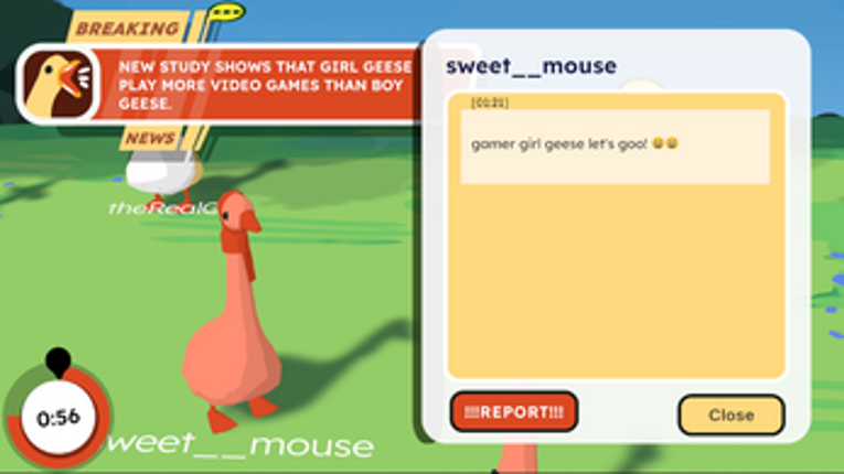 GooseNews Image