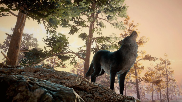 Wolf Survival screenshot