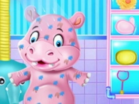 Baby Hippo Bath Time - Pet Care Image