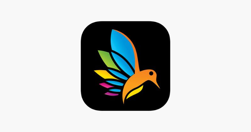 Ink - Adult Color by Number Image