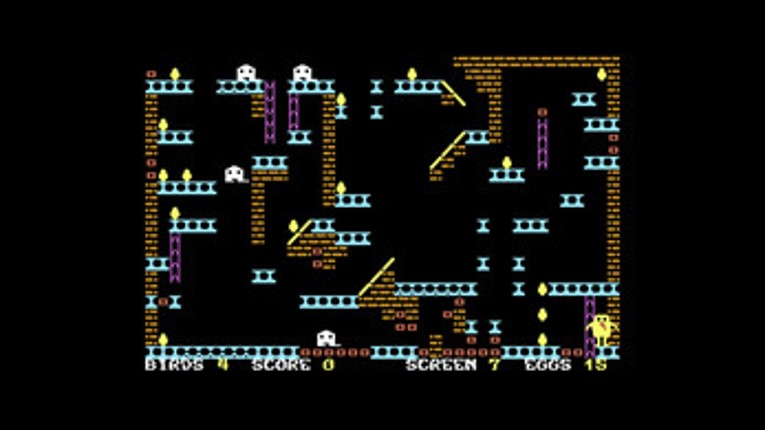 Jump Bird 2025 Image