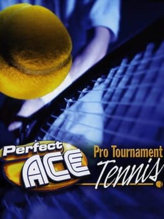 Perfect Ace: Pro Tournament Tennis Image