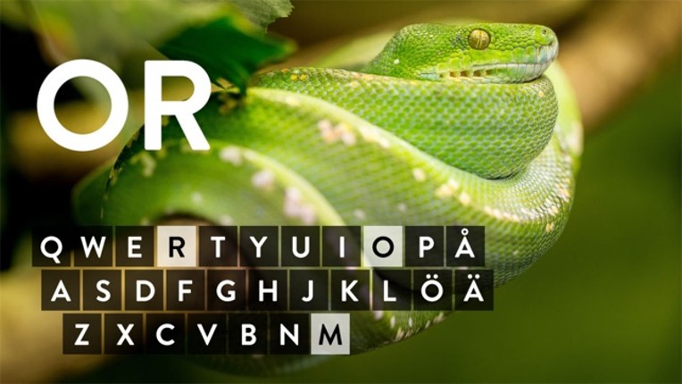 Skriva på riktigt Image