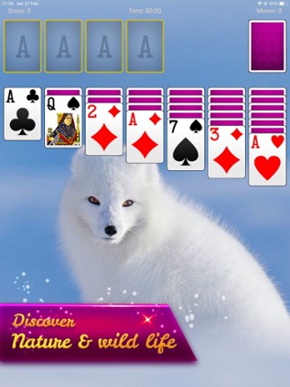 Solitaire Escape screenshot