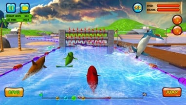 Dolphin Racing 3D Image