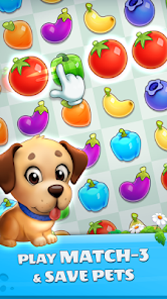 Pet Savers: Travel to Find & R screenshot