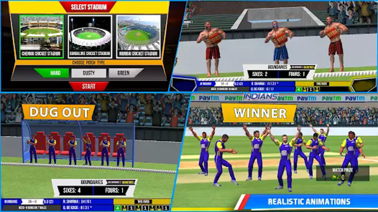 Indian Cricket Premiere League Image