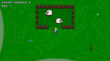 Oh Sheep Image