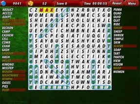 Top WordSearch Image