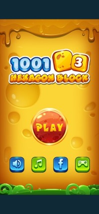 1001 Hexagon Block Image