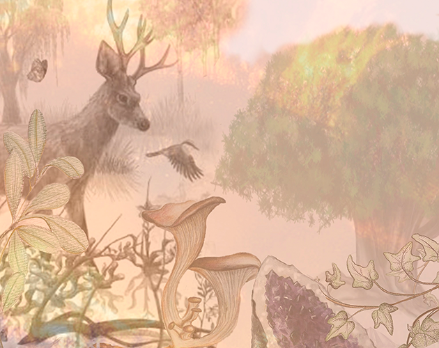 Games like BIOJUEGO: Antropoceno Aquí y Ahora