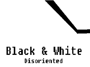 Black & White - Disoriented Image