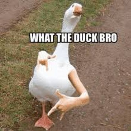 DONT LET YOUR DUCK DIE Image