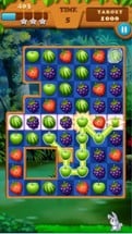 Fruits Legend - Match 3 Splash Game Image