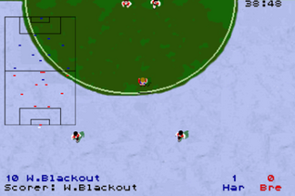 The Soccer Player Manager Image