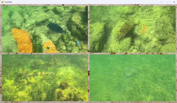 Reef Ranger screenshot