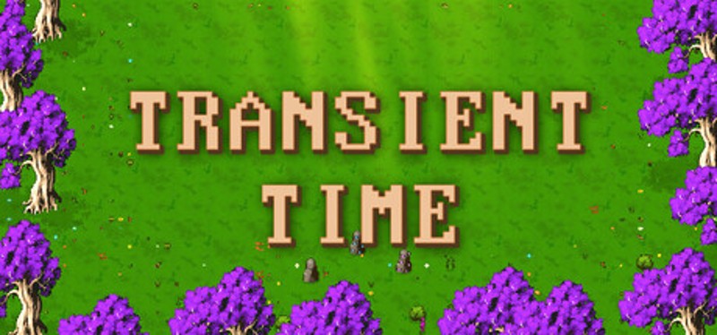 Transient Time Image