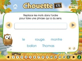 Chouette 1B Image