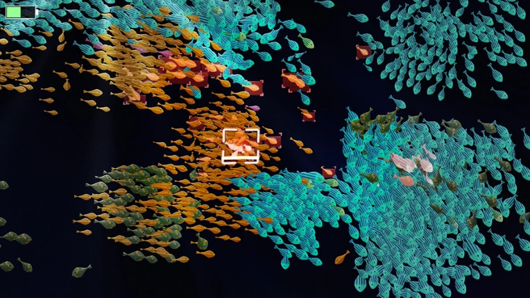 Fish Lab screenshot