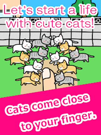 Play with Cats screenshot