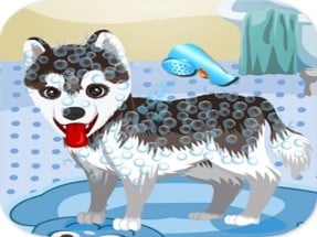 My Cute Dog Bathing Image