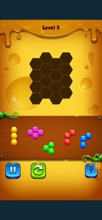 1001 Hexagon Block Image