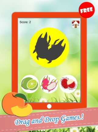 Fruits Drag And Drop Shadow Match Games For Kids screenshot