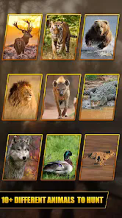 Wild Animal Hunt: Sniper Shoot screenshot