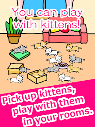 Play with Cats screenshot