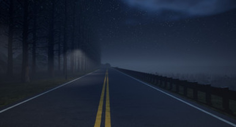 NIGHT IN THE FOREST Image