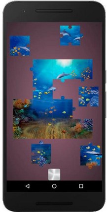 Real Dolphins Game : Jigsaw Puzzle 2019 Image
