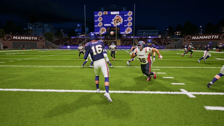 Maximum Football screenshot