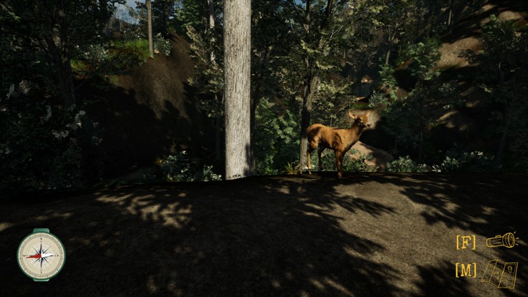 Pack It Out screenshot