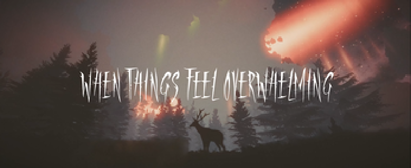 STILLFRAME screenshot