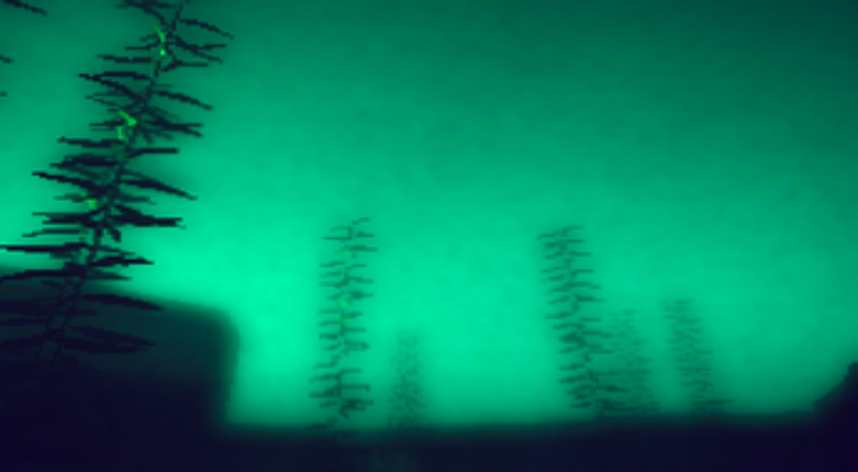Submerged Image