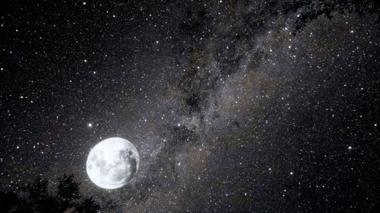 All That Remains: A story about a child's future screenshot